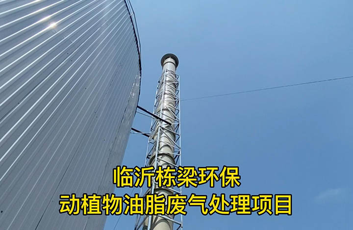 動(dòng)植物油脂煉制廢氣處理設(shè)備現(xiàn)場(chǎng) 